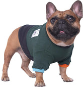 Dog Crewneck Sweater – Color Block Pullover, Green/Black (Medium)