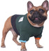 Dog Crewneck Sweater – Color Block Pullover, Green/Black (Medium)