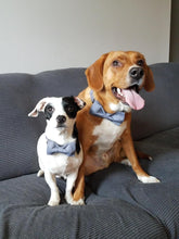 Durable Adjustable Dog Collar with Bowtie – Comfortable Fit for X-Large Dogs, 16-26 Inch Neck