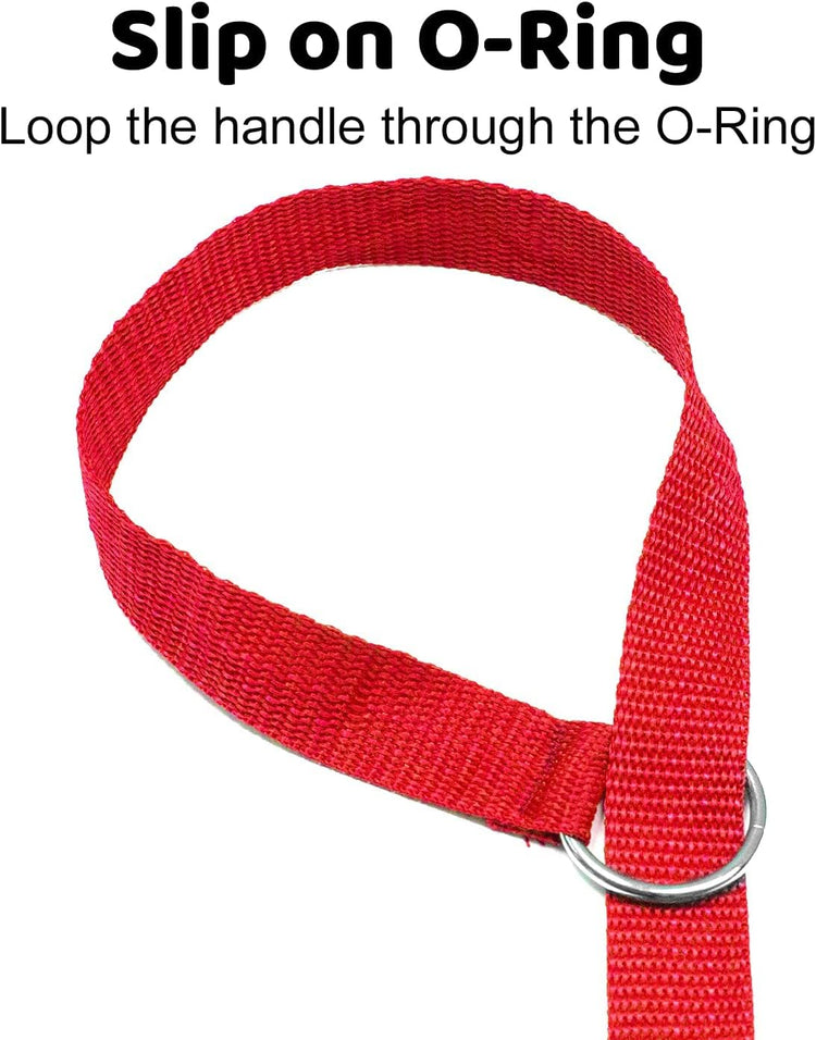 - 6Ft Dog Kennel Slip Lead - Veterinarian, Grooming, Daycare & Rescue Supplies - One Size Leads for Dogs - 1" Thick 6 Pack
