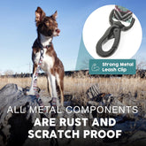 Embark Adventure Dog Leashes - Colorful, Strong and Sturdy Dog Leash for Small, Medium and Large Breed Dogs (Aztec, 4 Ft)