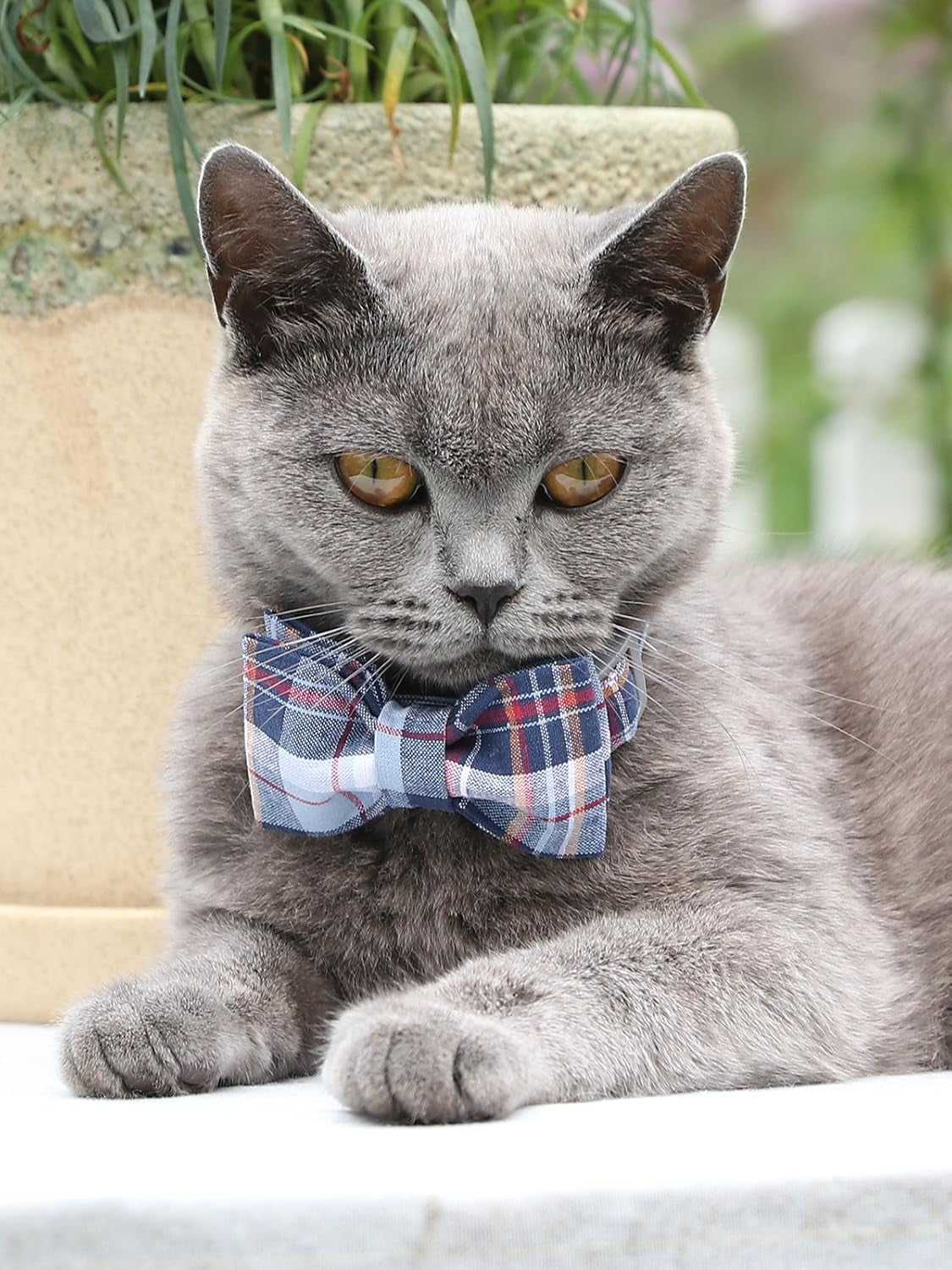 Adjustable Dog & Cat Collar with Bowtie – Grid Pattern, Plastic Buckle, Fits Small to Large Pets