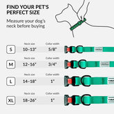 Waterproof Dog Collar - Silicone, Plastic Collar, Odor-Resistant, Easy to Clean, for Large, Medium, Small Dogs - Adjustable Collar with Breakaway Buckle (Neck Fit 10"-13", Mint Green)