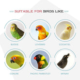 Bird Toys Set, 3-Pack – Bells, Rattan Balls & String for Parrots, Parakeets & Small Birds