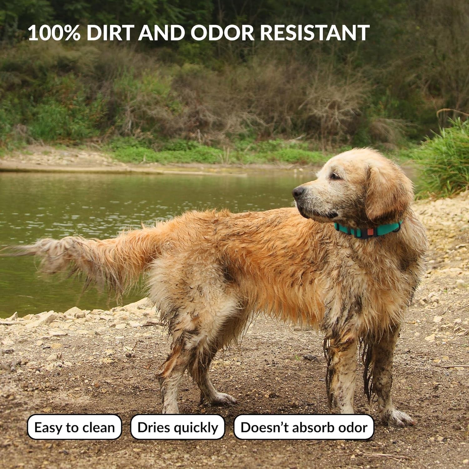 Waterproof Dog Collar - Silicone, Plastic Collar, Odor-Resistant, Easy to Clean, for Large, Medium, Small Dogs - Adjustable Collar with Breakaway Buckle (Neck Fit 10"-13", Mint Green)