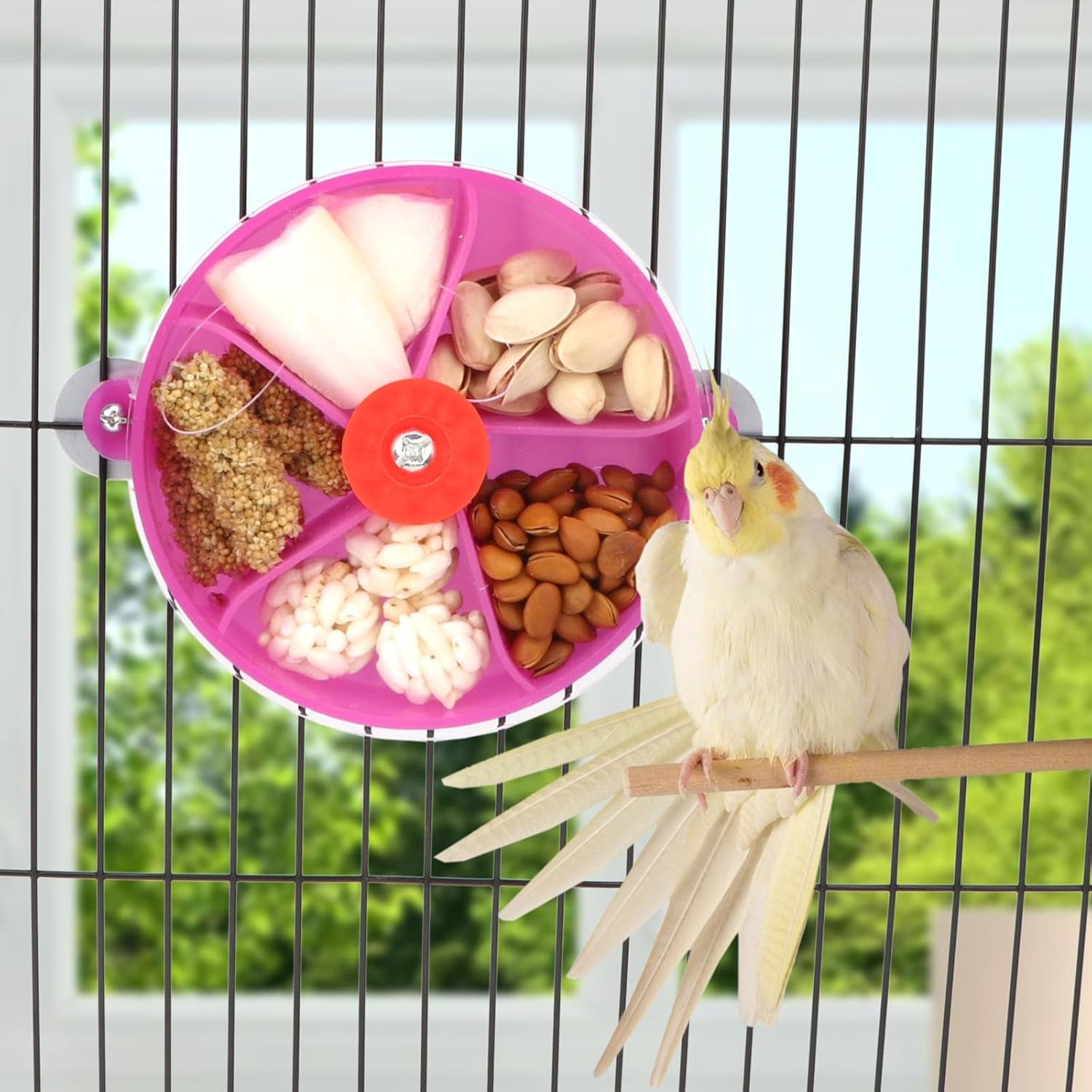 Foraging Wheel Bird Toy – Rotating Seed Ball for Parrots, Parakeets, Cockatiels & Conures (Purple)