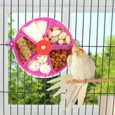 Foraging Wheel Bird Toy – Rotating Seed Ball for Parrots, Parakeets, Cockatiels & Conures (Purple)