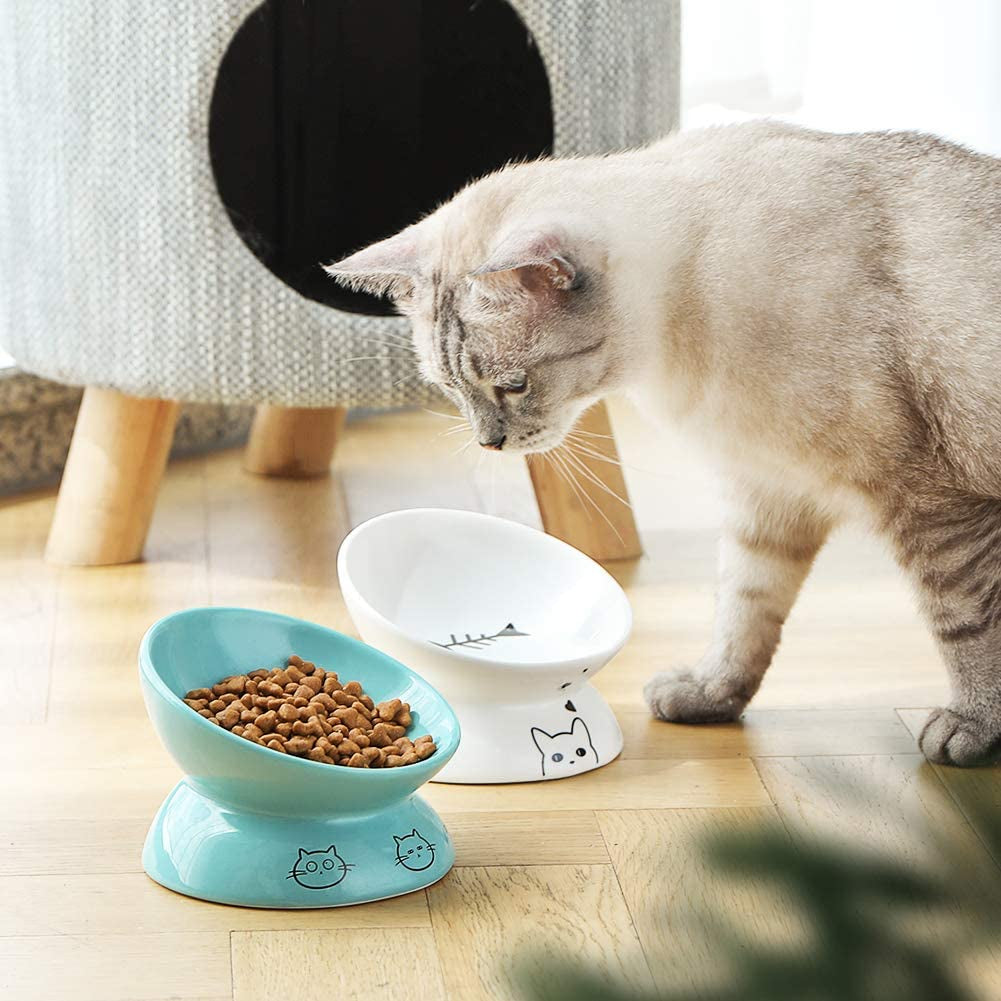 Ceramic Raised Cat Bowls, Slanted Cat Dish Food or Water Bowls, Elevated Porcelain Pet Feeder Bowl Protect Cat&