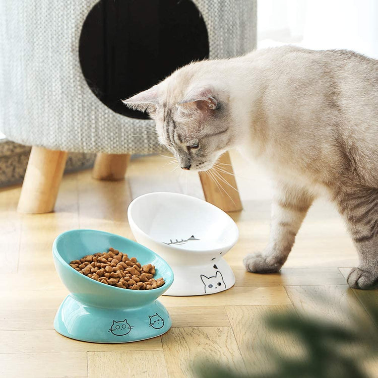 Ceramic Raised Cat Bowls, Slanted Cat Dish Food or Water Bowls, Elevated Porcelain Pet Feeder Bowl Protect Cat&