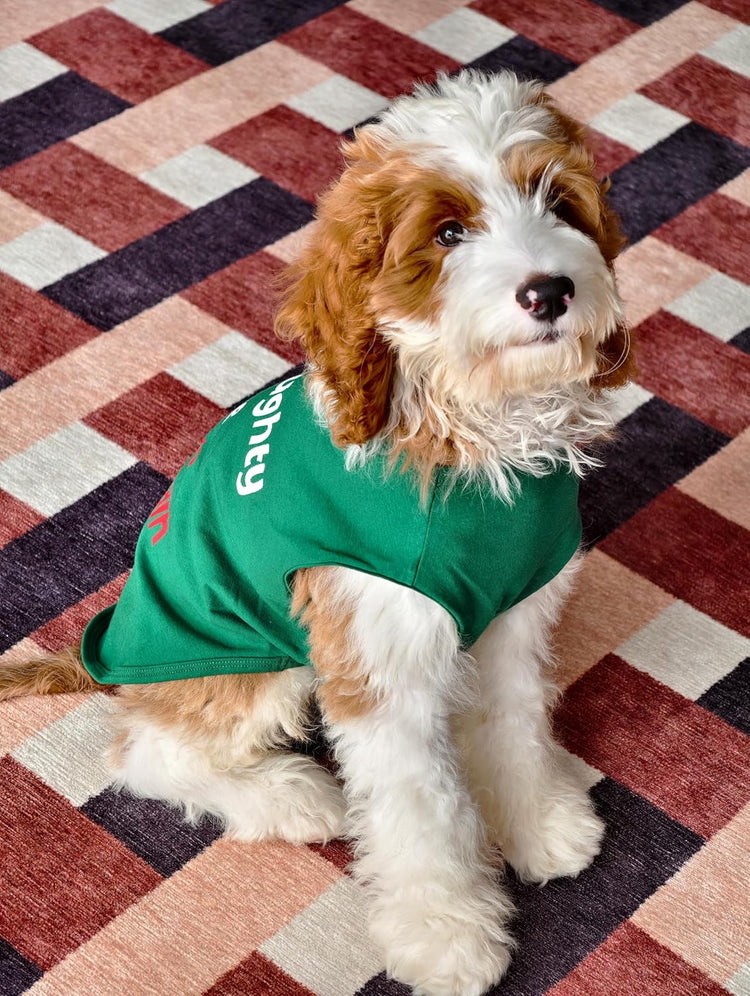 Naughty or Nice Christmas Dog Shirt, Dog Christmas Outfit for Small Dogs Boy Girl, Funny Doggy Tshirt, Pet Outfit, Green, Red, White, Medium