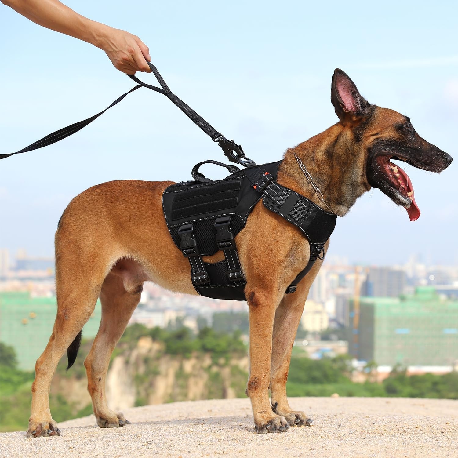 Relfective Dog Leash for Medium Large Dogs,K9 Training Walking Lead with Double Handle,Heavy Duty Auto-Lock Metal Clasp (6Ft, Black)