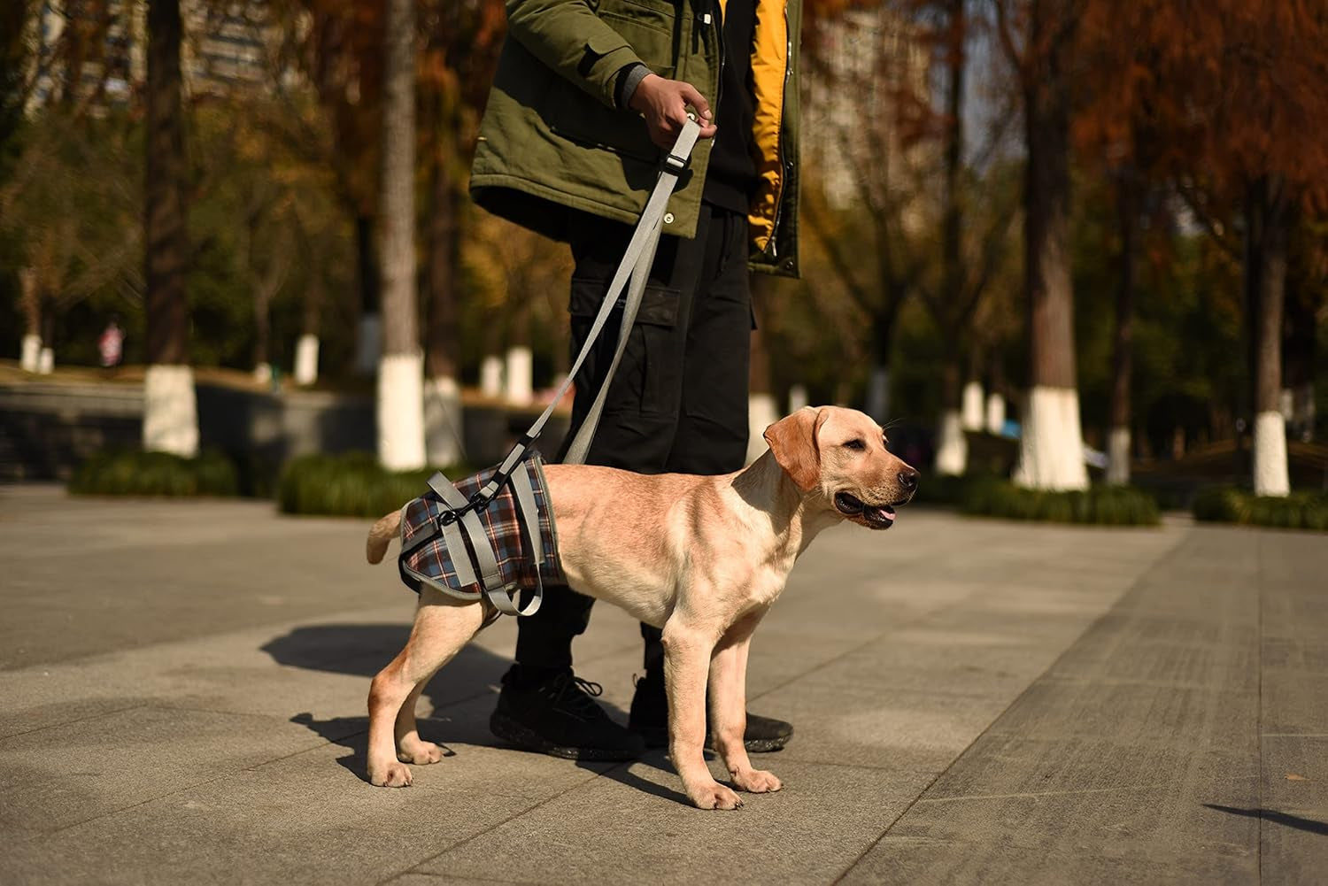 Dog Lift Harness, Grid Pet Rear Support Aid Veterinarian Approved Sling for Old K9 Help with Poor Stability, Back Leg Hip Disabled Joint Injury Elderly Arthritis ACL Rehabilitation Rehab