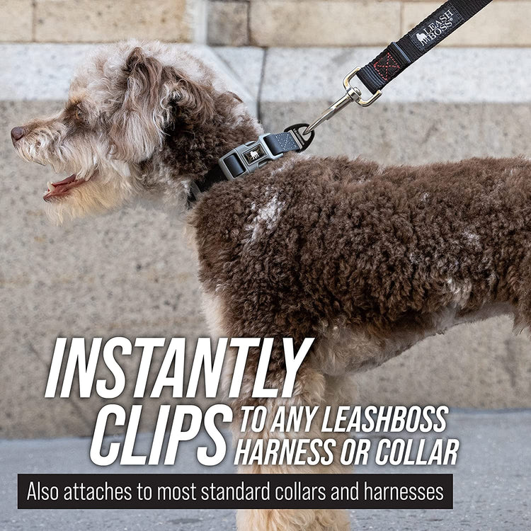 Free Range - Long Dog Leash for Large Dogs + Drawstring Backpack - 1 Inch Nylon Training Lead with Padded Handle (Black) (30 Ft)