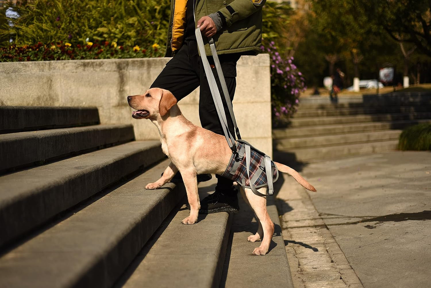 Dog Lift Harness, Grid Pet Rear Support Aid Veterinarian Approved Sling for Old K9 Help with Poor Stability, Back Leg Hip Disabled Joint Injury Elderly Arthritis ACL Rehabilitation Rehab