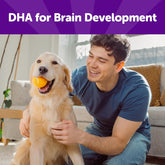 Rewarding Life Dog Training Treats – Grain-Free, Soft Chicken & Lamb Recipe, 6 oz Bag