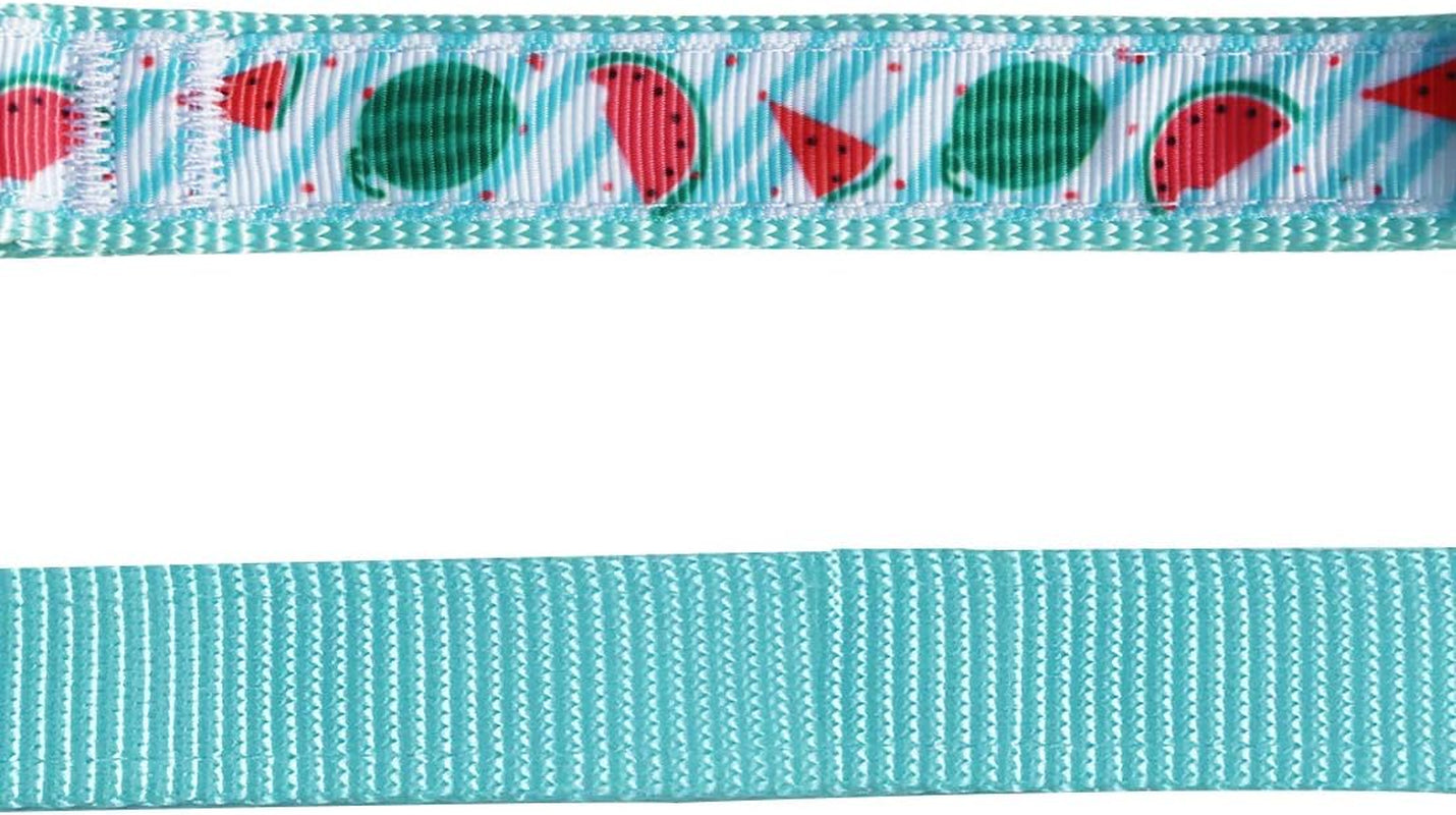 Watermelon Bowtie Dog Collar – Stylish & Comfy Puppy Collar with Bow Tie for Small Dogs