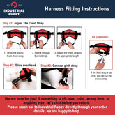 Service Dog Vest with Hook and Loop Straps and Matching Service Dog Leash Set - Harnesses from XXS to XXL - Harness Features Reflective Patch and Comfortable Mesh Design