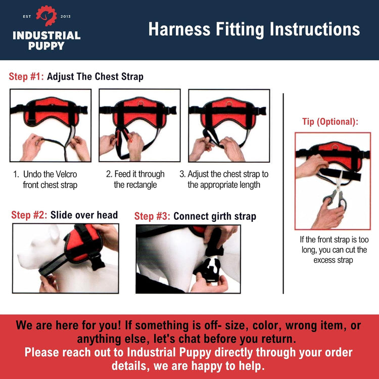 Service Dog Vest with Hook and Loop Straps and Matching Service Dog Leash Set - Harnesses from XXS to XXL - Harness Features Reflective Patch and Comfortable Mesh Design