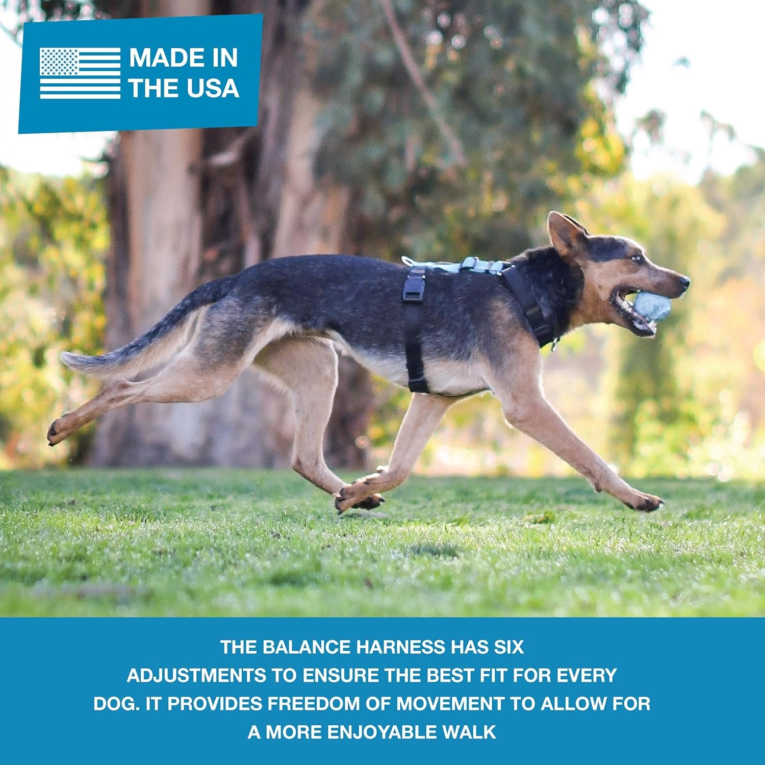 Pet Products No-Pull Balance Harness and Loose Leash Walking Set Dogs, Made in the USA, Black, X-Small