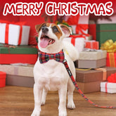 Christmas Buffalo Dog Collar and Leash Set, Classic Plaid Collar with Removable Bowtie and Matching Leash for Medium Dogs