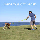 6 FT Solid Color Leash Puppy Leash Dog Leash Comfortable Handle Dog Training Leash 6 Ft Dog Leash Medium Dog Leash/Large Dog Leash Green Dog Leash