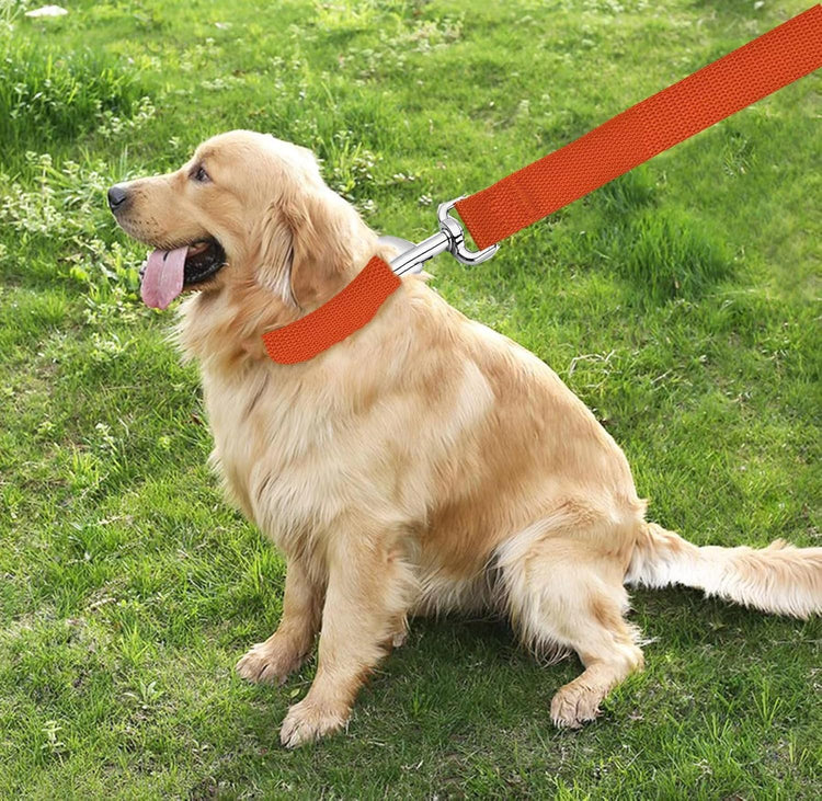 5 FT Strong Dog Leash, Nylon Dog Leashes for Small Medium Large Dogs Orange