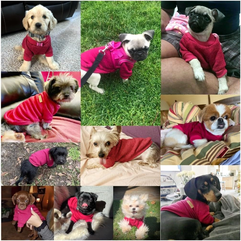 Small Dog Sweater Warm Winter Puppy Pet Coat Soft Sweater Clothes for Small Dogs Outfit (XS, Wine Red)