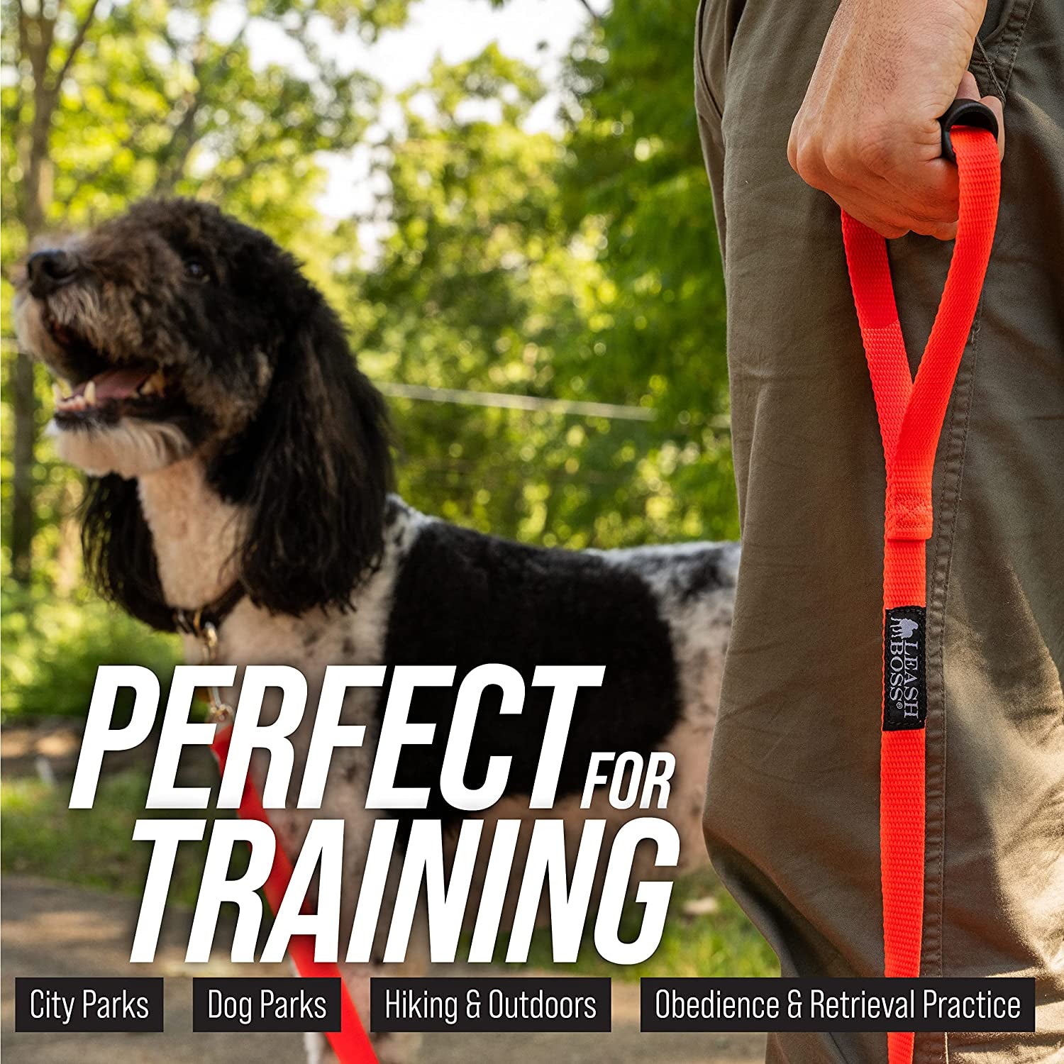 Long Trainer - 1 Inch Nylon Long Dog Training Leash with Storage Strap (50 Ft, Black)