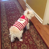 Santa Claus Pet Sweater – Christmas Outfit for Small to Medium Dogs & Cats, X-Large