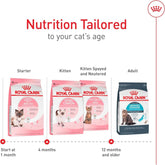 royal-canin-mother-babycat-dry-cat-food
