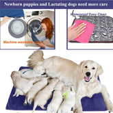 Large Pet Heating Pad – 34"x21" Electric Heated Bed with Washable Cover