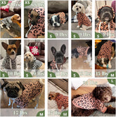 Dog Leopard Hooded Sweatshirt with Hat, Dogs Clothes Lightweight Puppy Hoodie for Small Dog Cat, Doggy Hoody Outfits Cat Apparel