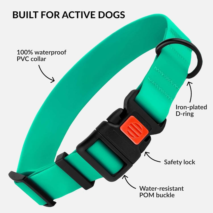 Waterproof Dog Collar - Silicone, Plastic Collar, Odor-Resistant, Easy to Clean, for Large, Medium, Small Dogs - Adjustable Collar with Breakaway Buckle (Neck Fit 10"-13", Mint Green)