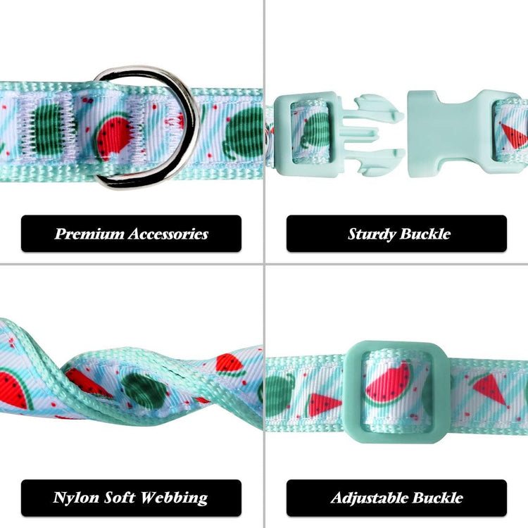 Watermelon Bowtie Dog Collar – Stylish & Comfy Puppy Collar with Bow Tie for Small Dogs