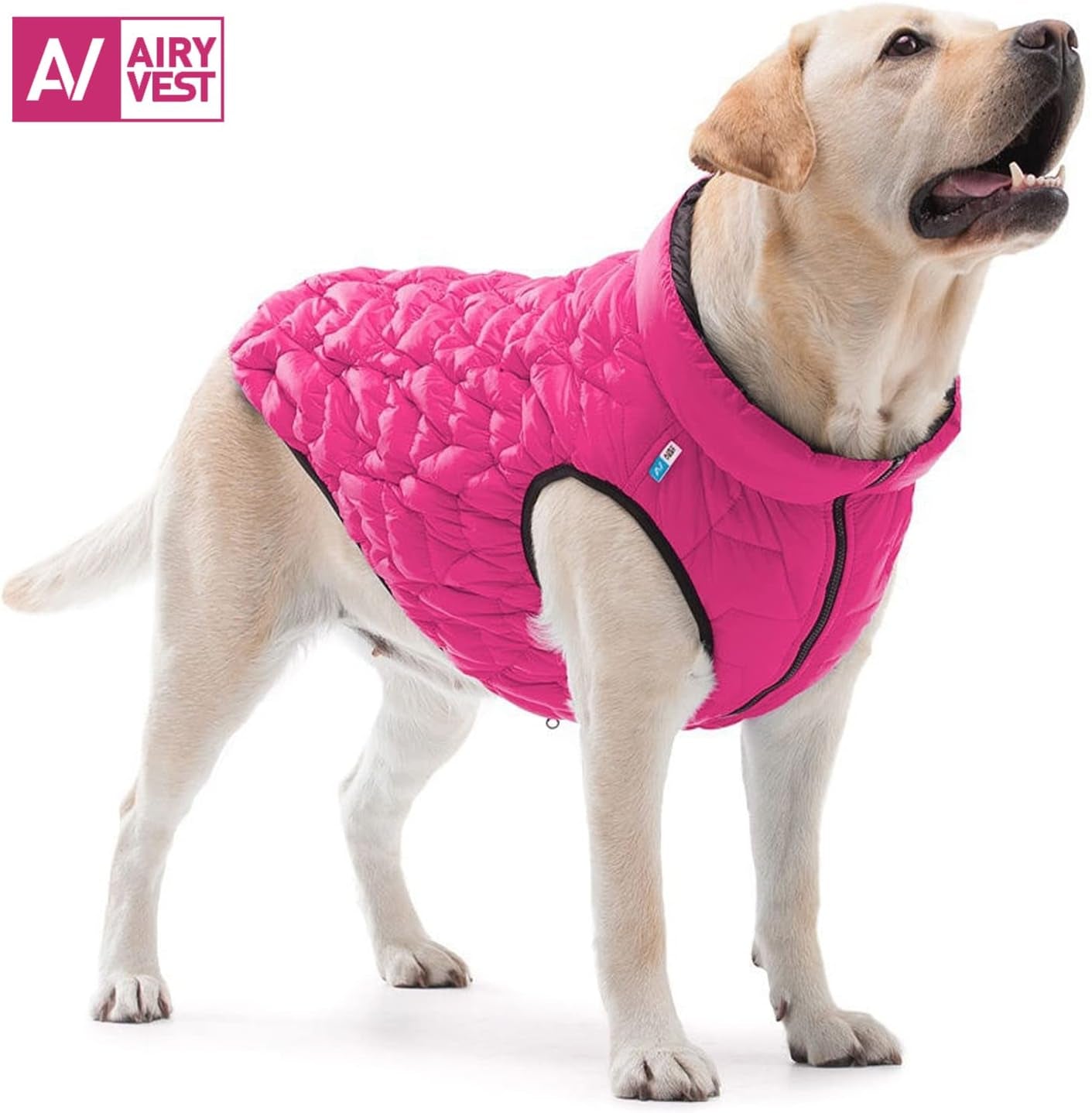Dog Winter Coat UNI - Lightweight Reversible Warm Dog Jacket - Water Resistant Windproof Jacket - Dog Coats for Medium Dogs, Small & Large Dogs Vest L