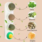 Catnip Wall Ball Cat Toys with 2 Treat Candies – Safe Edible Licking Balls for Indoor Cats