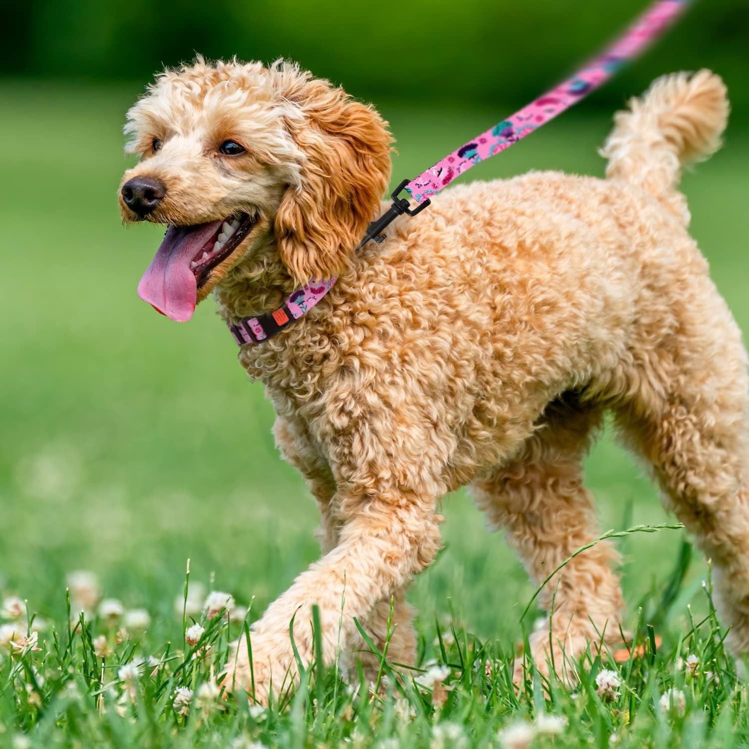 Nylon Dog Collar with Pink Floral Pattern – Adjustable 14-18 Inch