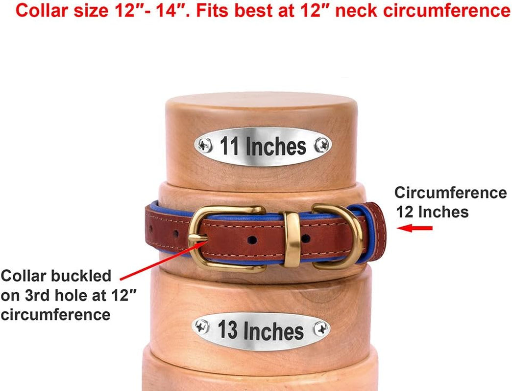 Leather Dog Collar Brass Buckle Soft Padded Puppy Small Medium Large Red Pink Blue Green Purple Yellow (Neck Fit 12"-14", Red)