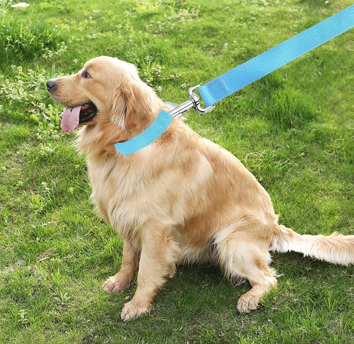 5 FT Strong Dog Leash, Nylon Dog Leashes for Small Medium Large Dogs Blue