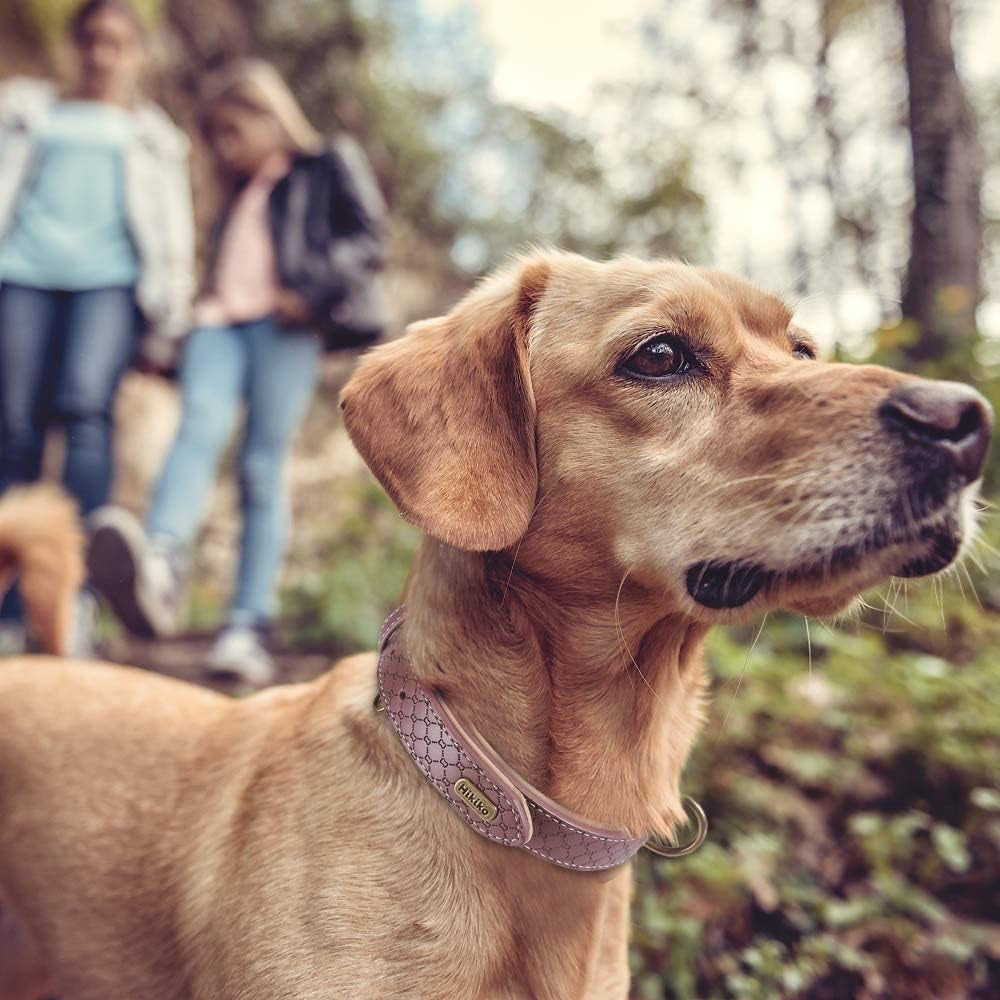 Basic Classic Luxury Padded Leather Dog Collar - Rust Proof Brass Strong Leather Collar Heavy Duty Alloy Hardware Best for Small, Medium, Large Dogs