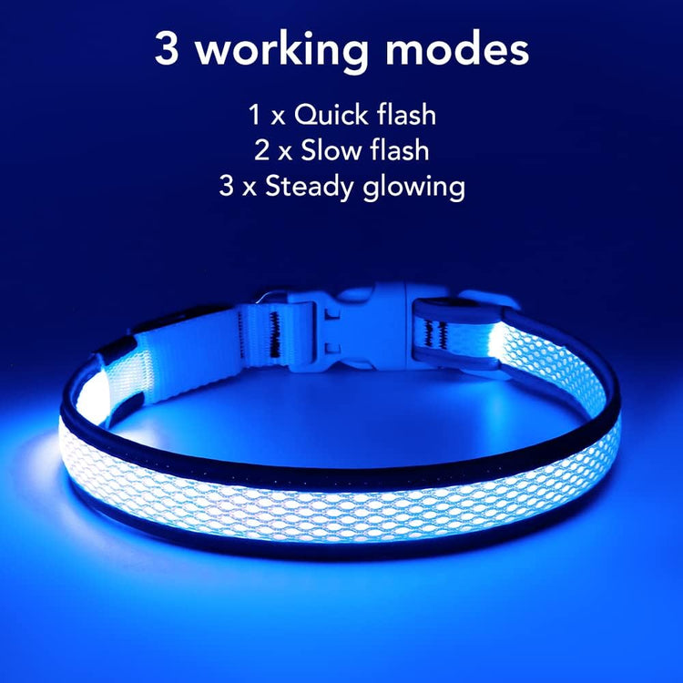 Light up Dog Collar - Rechargeable LED, Reflective, Glowing Camping Gear, Adjustable Dog Lights for Night Walking (Medium, Royal Blue)