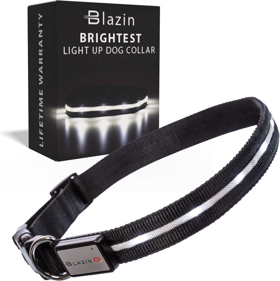 Light up Dog Collar - the Original LED Dog Collar - USB Rechargeable - Waterproof - 1,000 Feet of Visibility - Dog Collar Light for Small, Medium, Large Dogs - US Brand