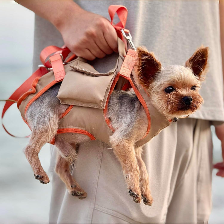 Pet Carrier Sling & Backpack, Full Body Lift Harness, Help Em up Harness for Small Dogs and Cats (Khaki, XS)