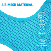 No-Pull Dog Harness & Leash Set – Reflective, Padded Vest (Small/Medium)