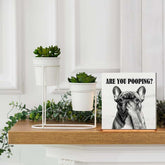 Funny French Bulldog Bathroom Wooden Box Sign, Are You Pooping Sign, Frenchie Gifts Wood Signs for Bathroom Restroom Toilet Half Bath Shelf Counter Decor, 5X5 Inch