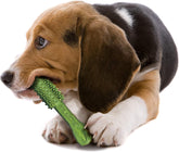 Nutri Dent Dog Dental Treats – Natural Teeth Cleaning & Breath Freshener, Medium Size, 40 Count