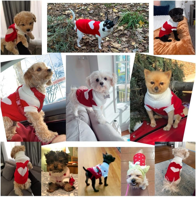 Pet Dog Sweaters Classic Knitwear Turtleneck Winter Warm Puppy Clothing Cute Strawberry and Heart Doggie Sweater (Red2, Medium)