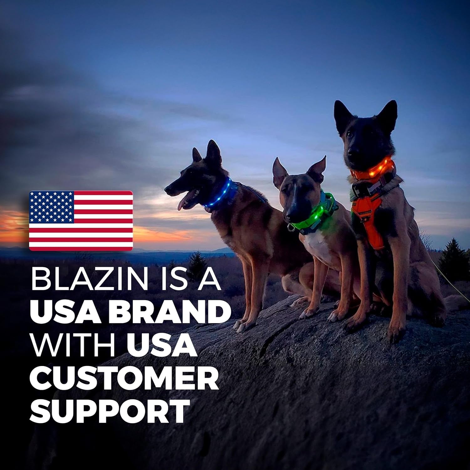 LED Light-Up Dog Leash – USB Rechargeable, 4ft Blue