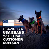 Light up Dog Collar - the Original LED Dog Collar - USB Rechargeable - Waterproof - 1,000 Feet of Visibility - Dog Collar Light for Small, Medium, Large Dogs - US Brand