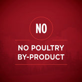 High Protein Wet Dog Food True Instinct Tender Cuts in Dog Food Gravy with Real Chicken and Duck - (Pack of 12) 13 Oz. Cans